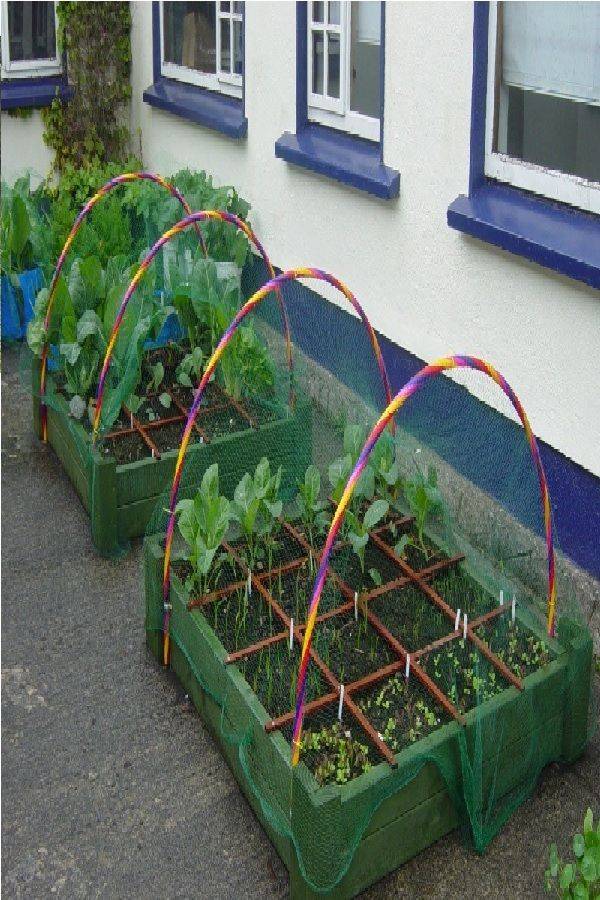 Your Own Hoop House
