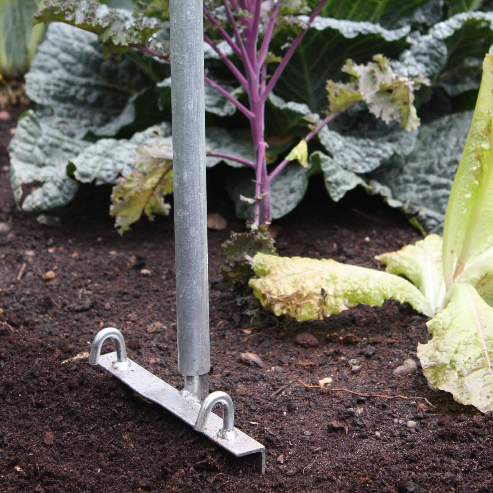 Hoop House