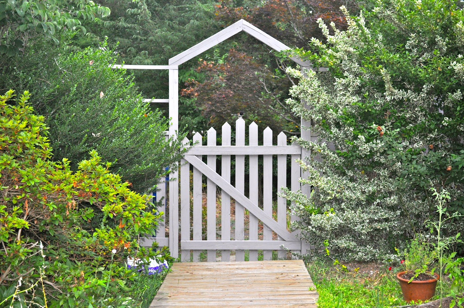 Exciting Green Backyard Landscaping Design Ideas Garden Doors