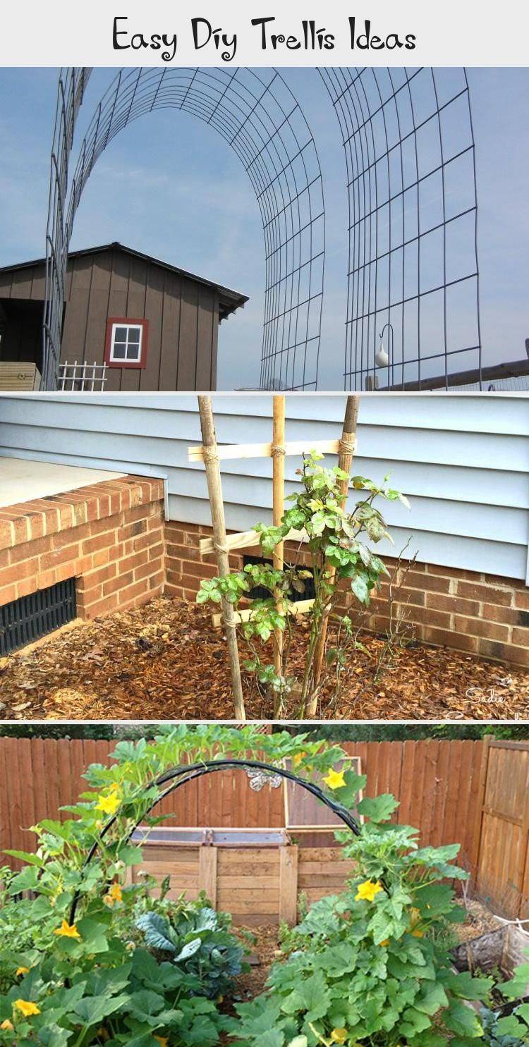Best Diy Garden Trellis Projects