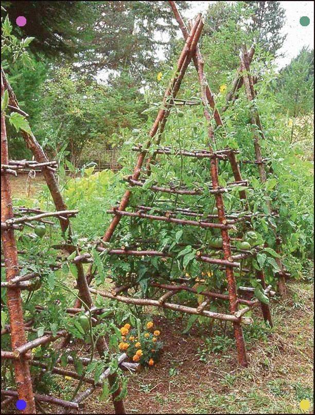 Easy Diy Trellis Ideas
