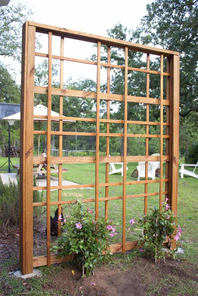 Creative And Easy Diy Trellis Ideas