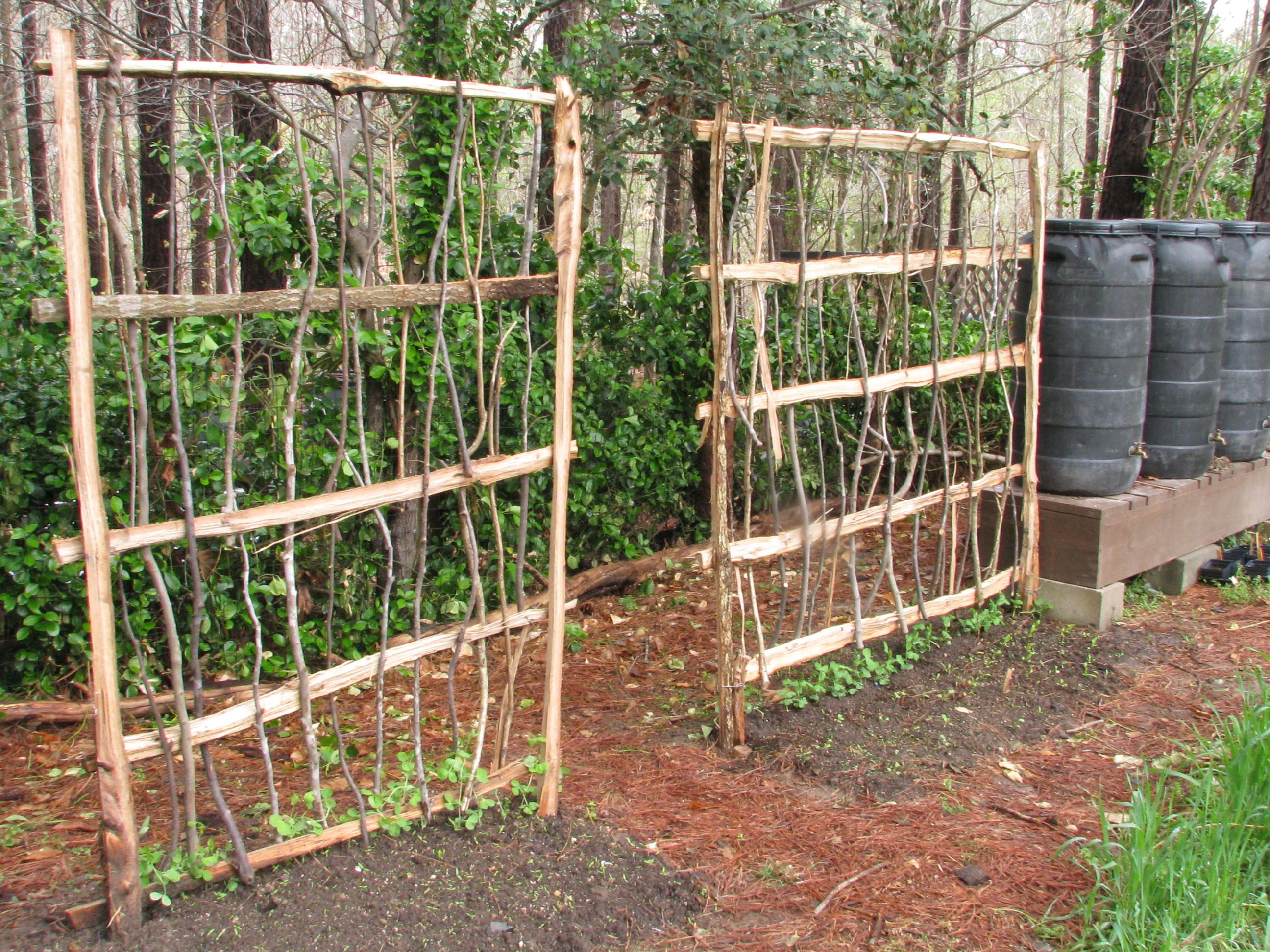 Rustic Vegetable Garden