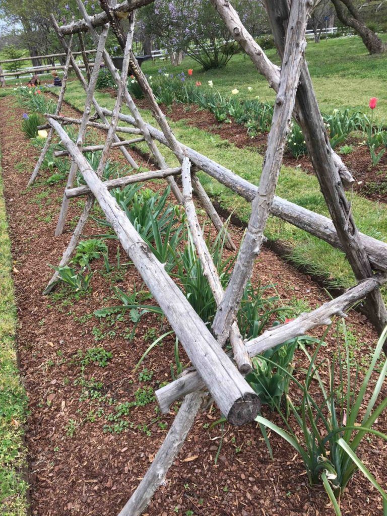 A Rustic Trellis
