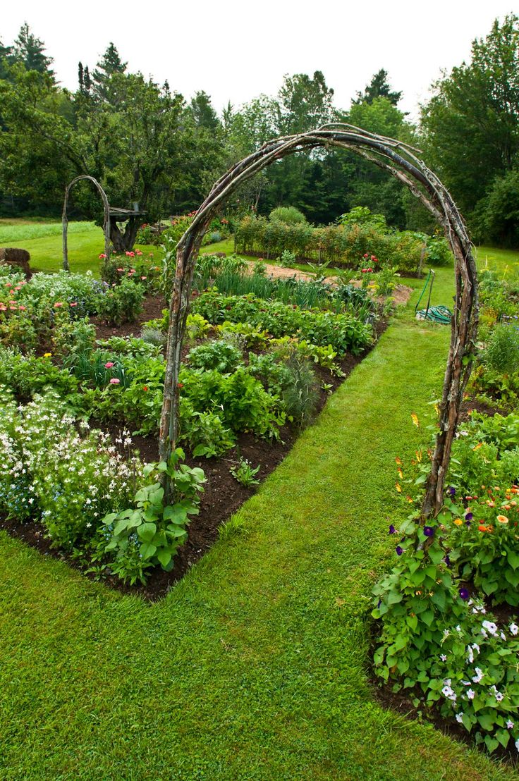 Vegetable Gardening Layout