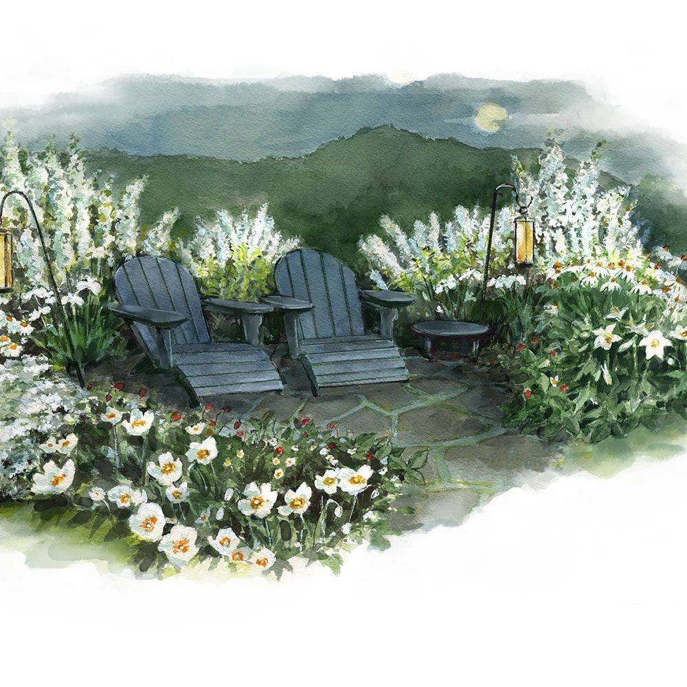 Little Boy Moon Garden