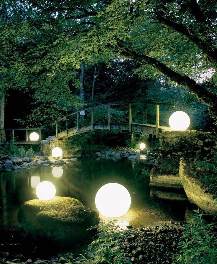 Lovely Moon Garden