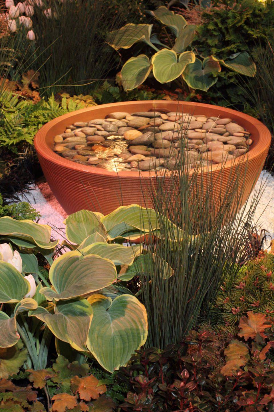 Beautiful Moon Garden