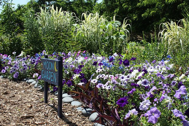 A Moonlight Garden Garden Design