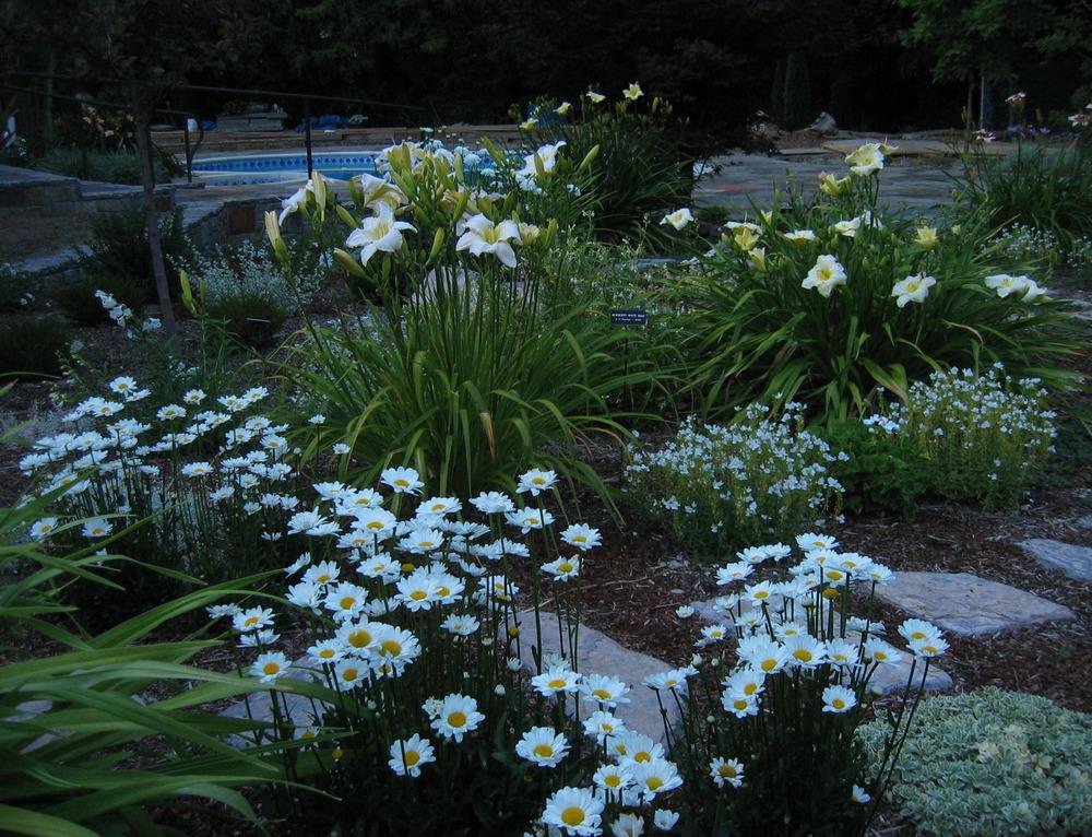 The Moon Garden Ideas