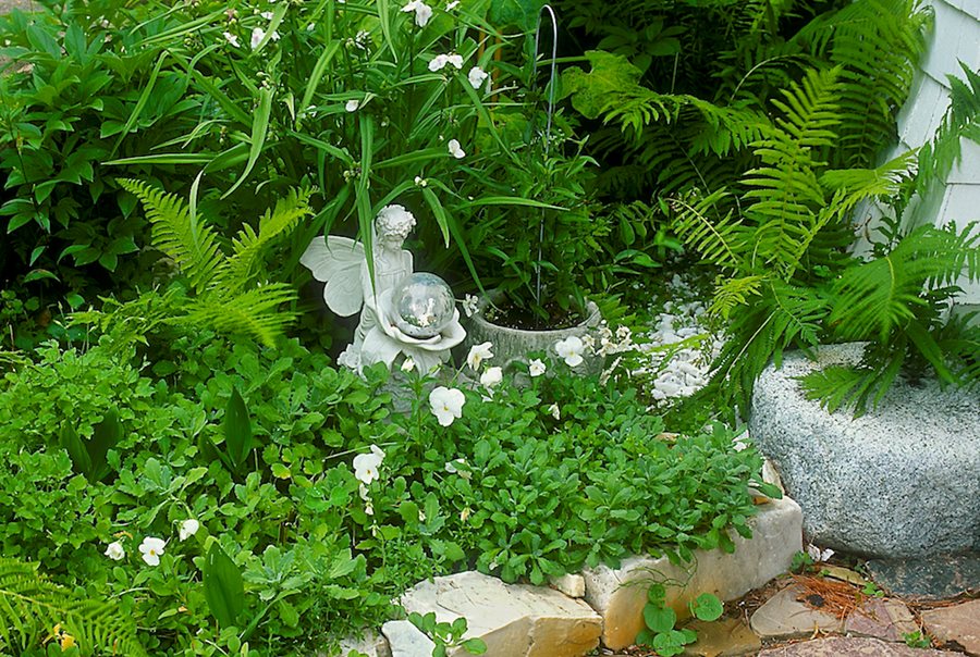 Theme Garden Design Sun