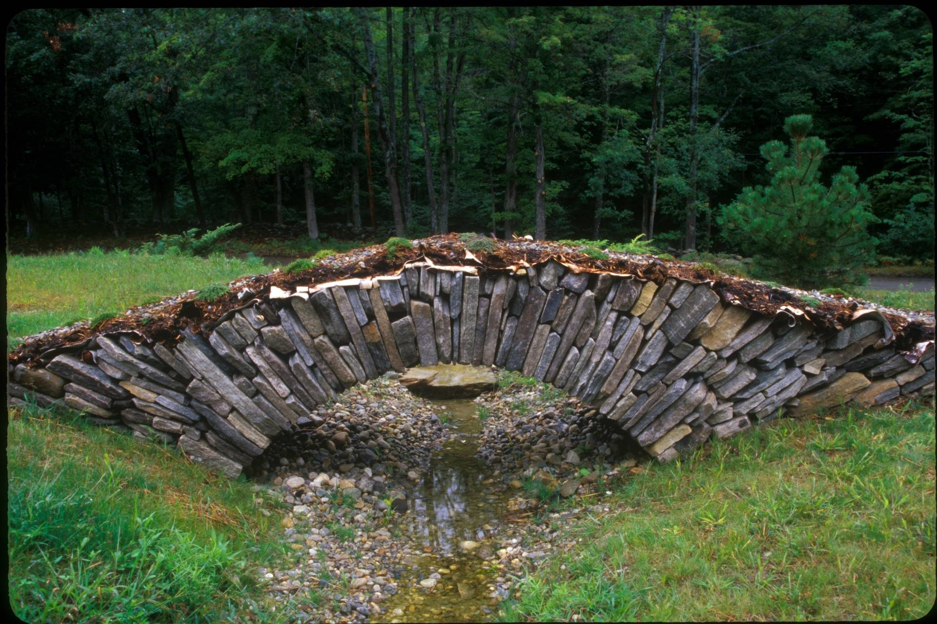 V Backyard Bridges