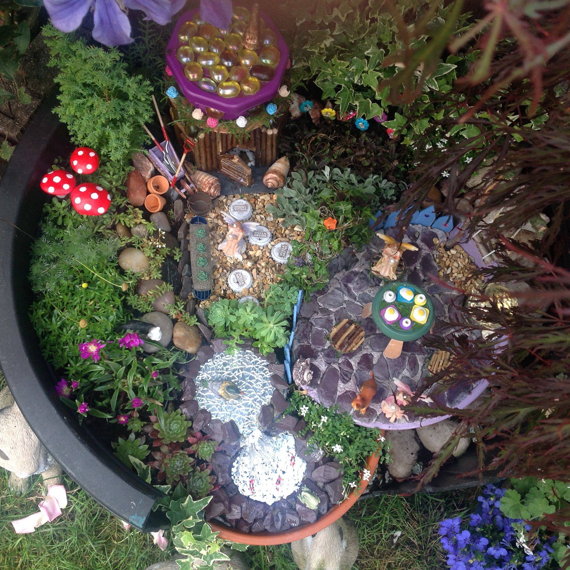 Succulents Fairy Garden