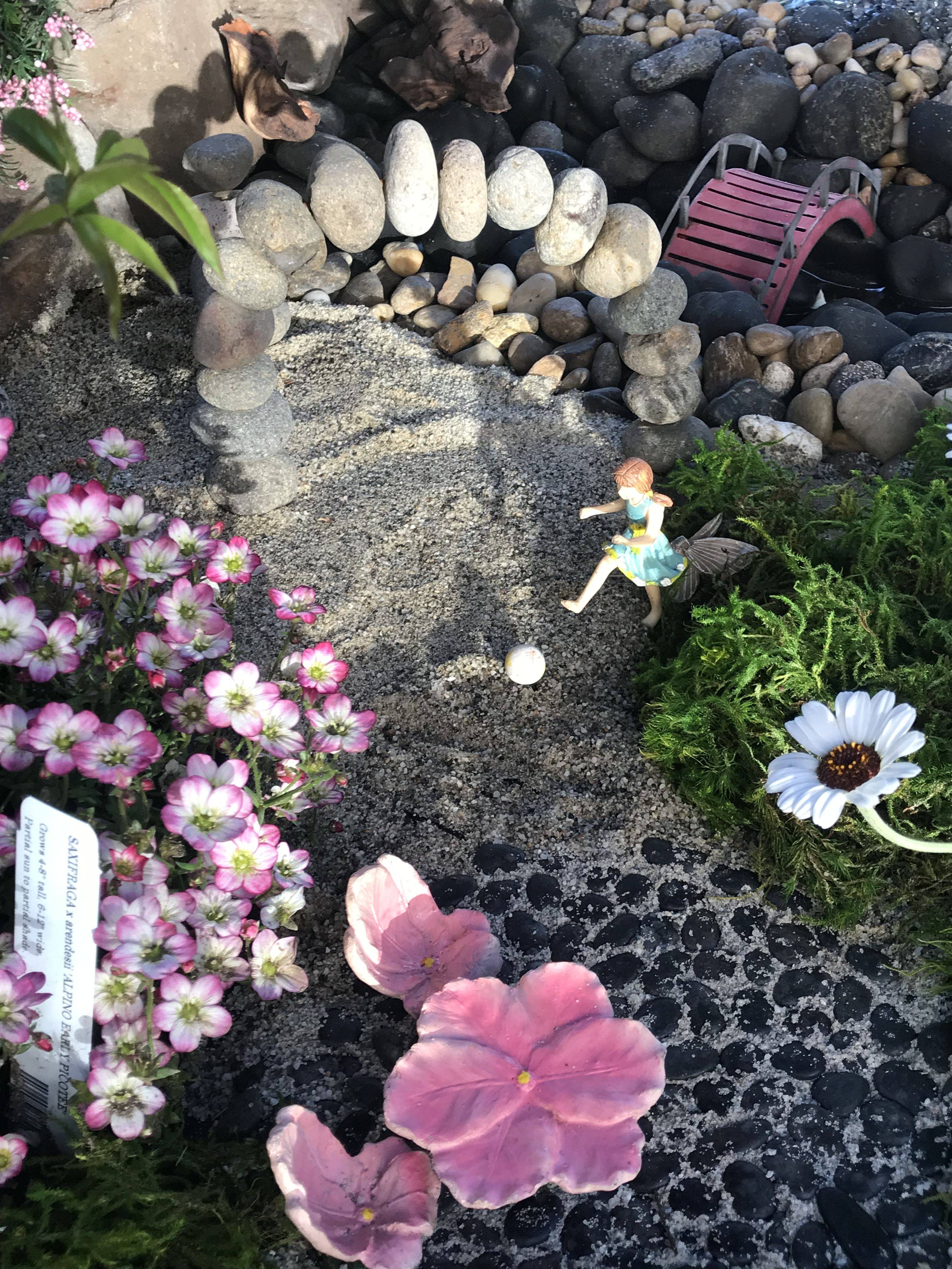 Fairy Gardens Mini Fairy Garden