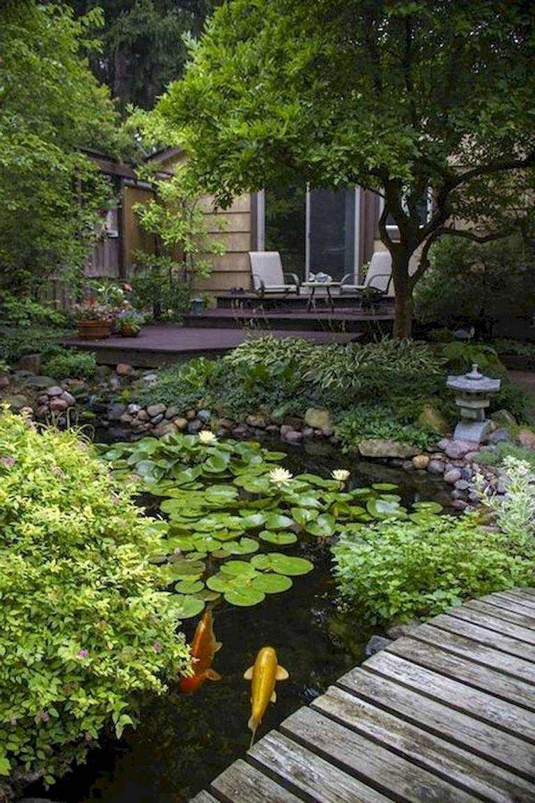 Beautiful Backyard Frugal Living