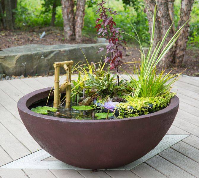 Coolest Small Pool Idea