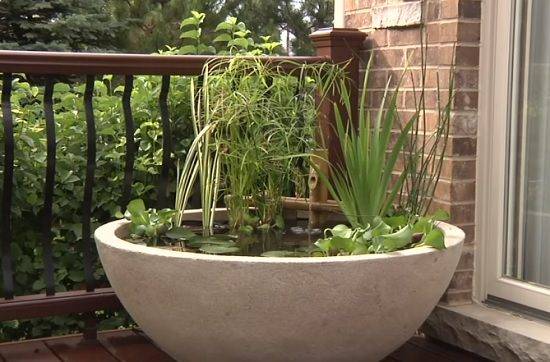 Pool Fiberglass Pool Design Thursday Pools