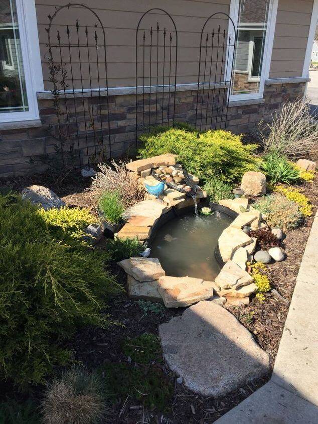 Traditional Backyard Ponds House