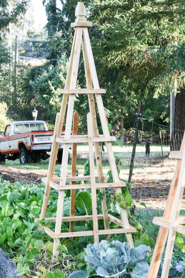 Diy Wooden Garden Obelisk