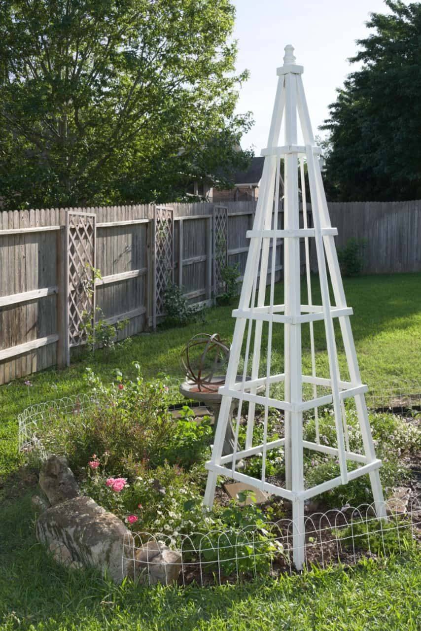 Pin On Garden Outside