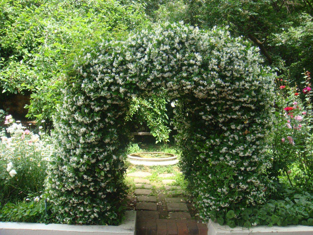 Every Southern Garden