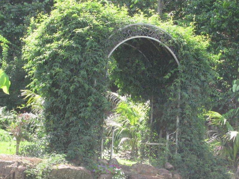 Arch And Path Belos Jardins