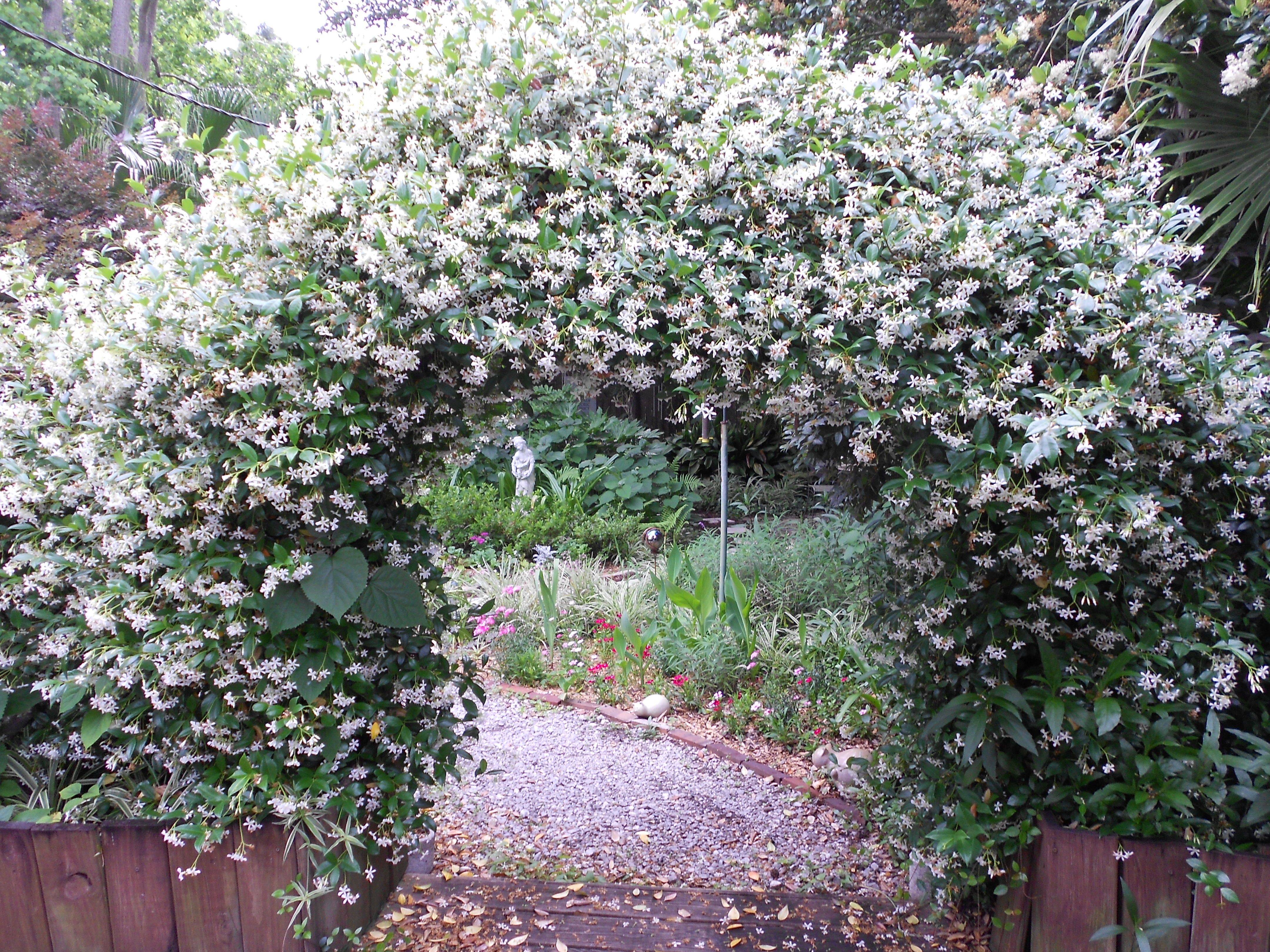 Garden Arches