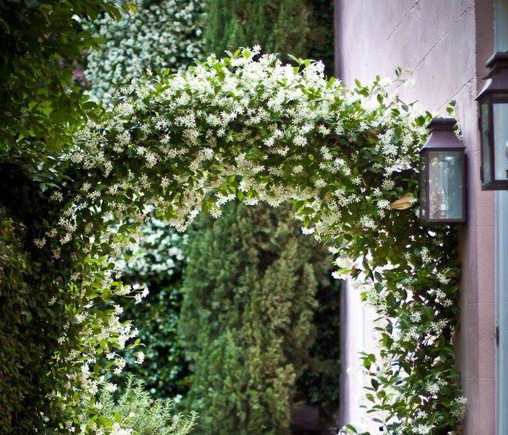 Maleny Botanical Gardens Garden Arch