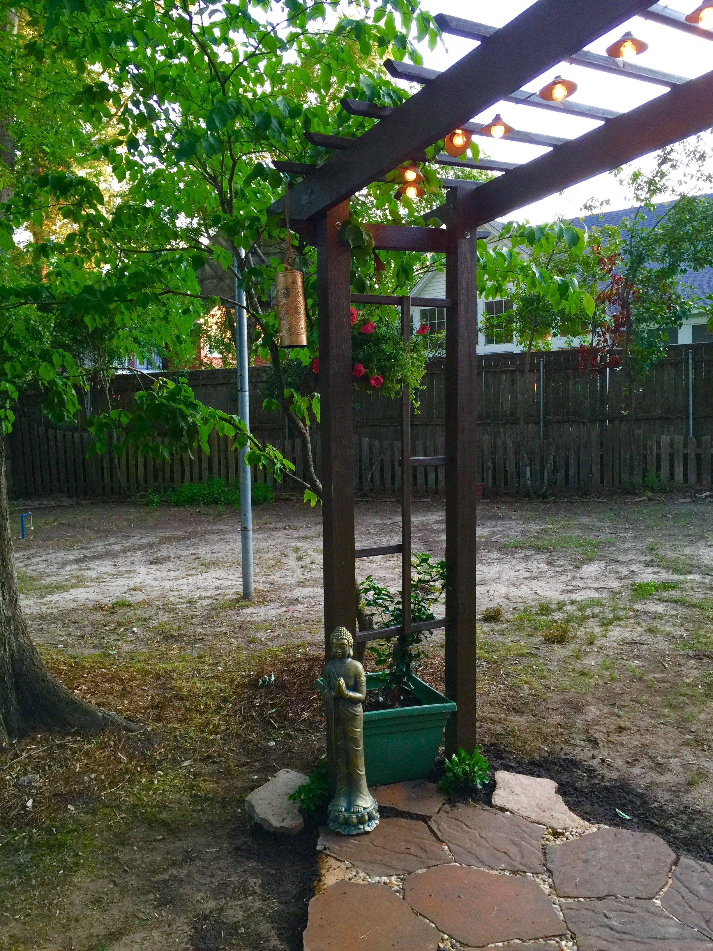 20 Jasmine Garden Arch Ideas You Should Look SharonSable