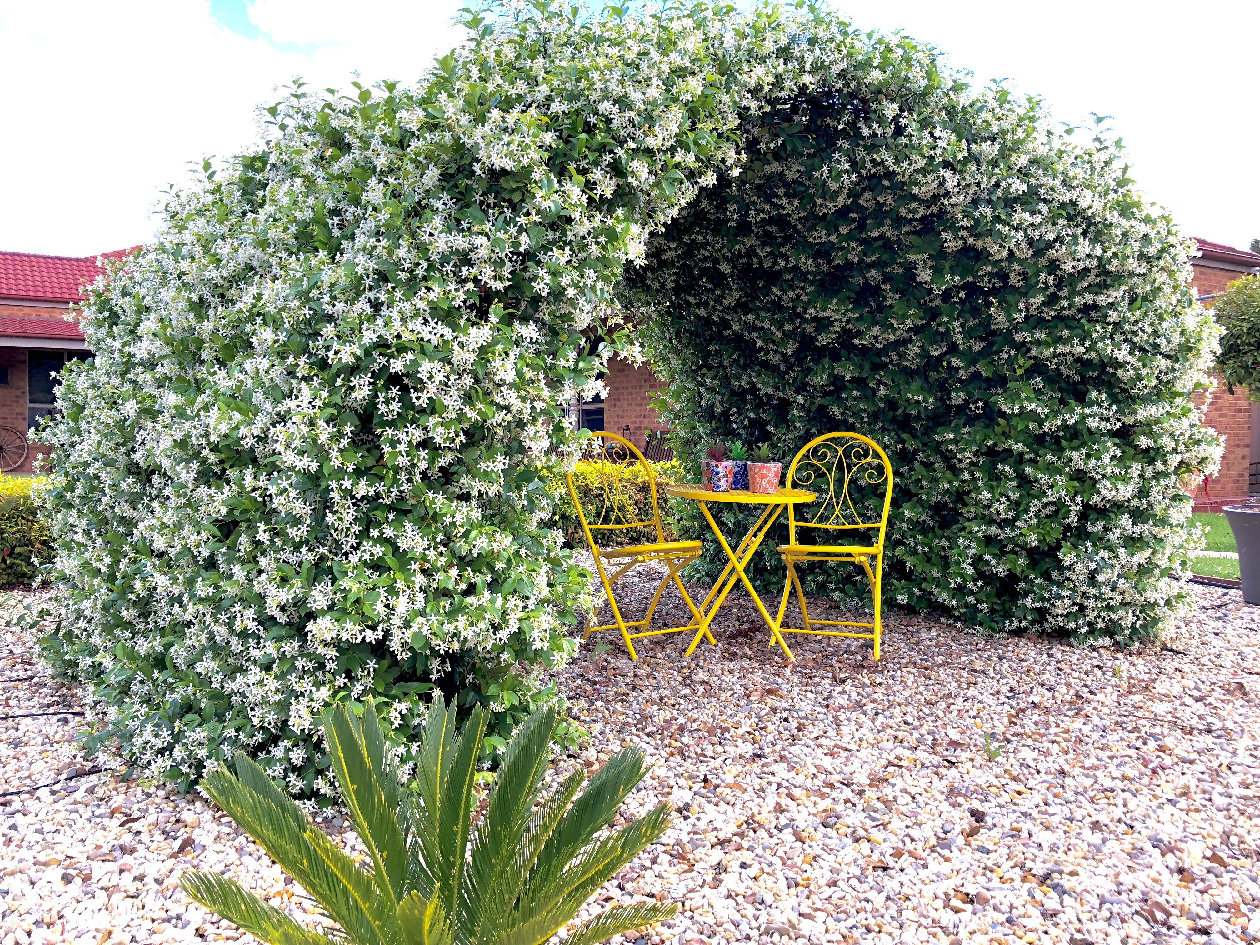 Prime Avian Realestate