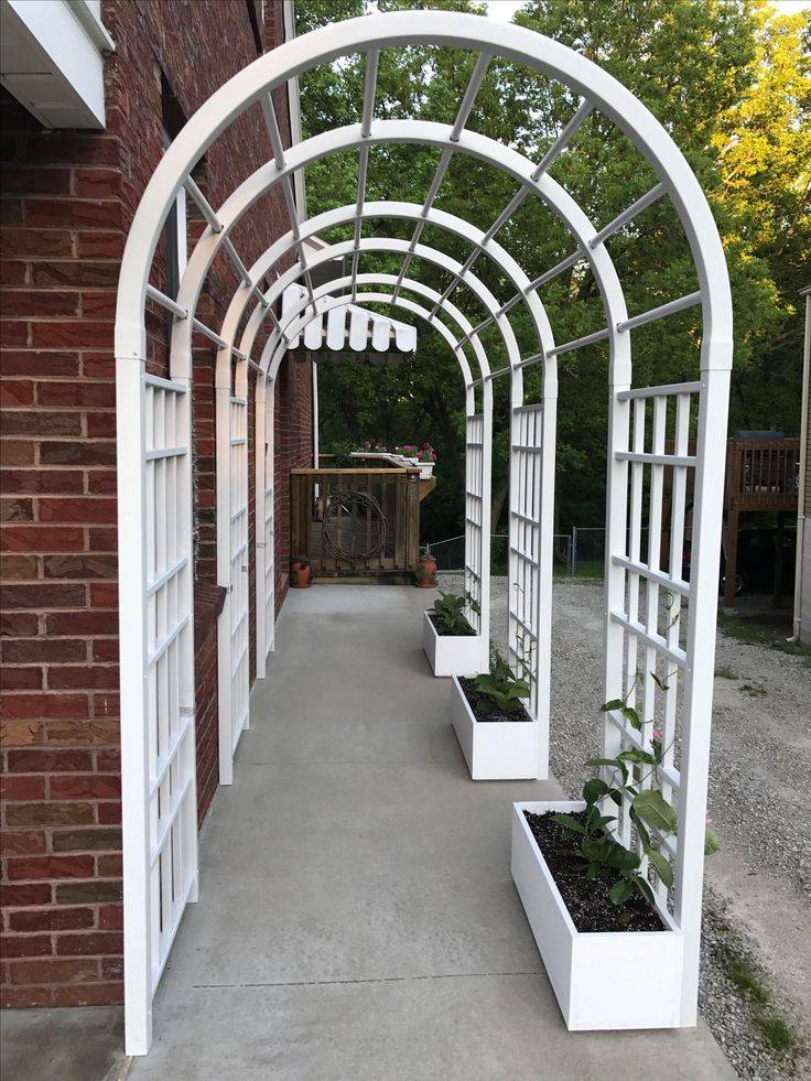 Garden Trellis Ideas