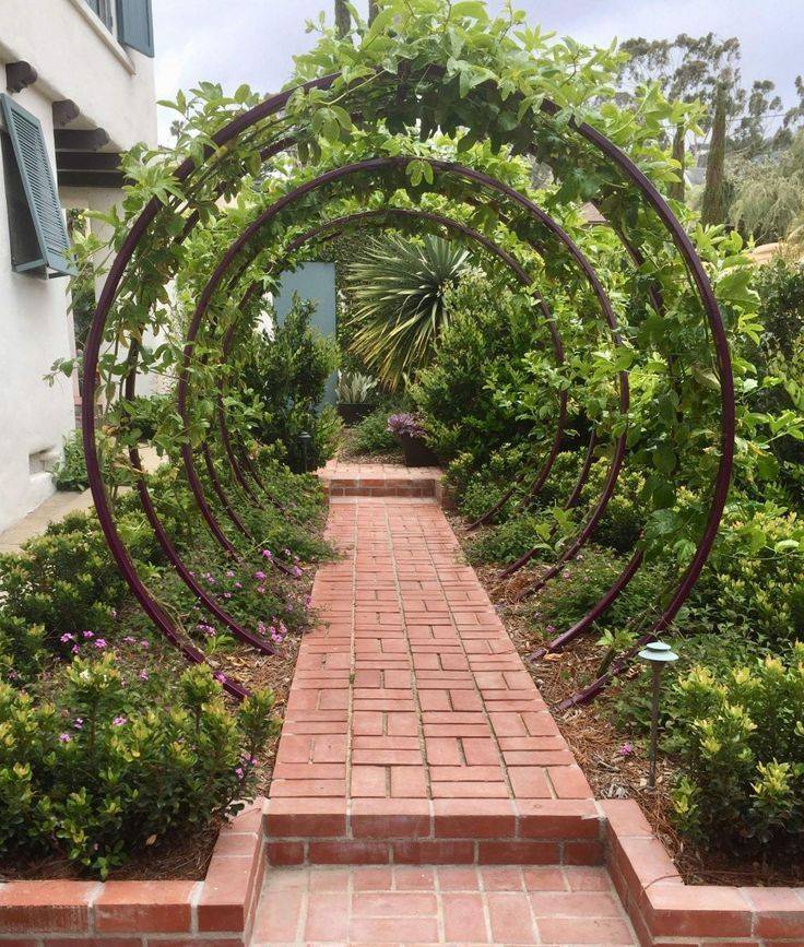 Walkway Ideas