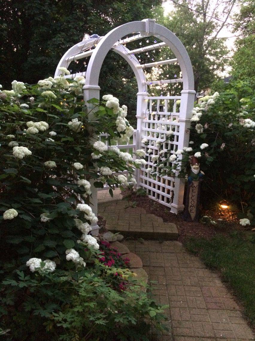 A Beautiful Backyard Gardening