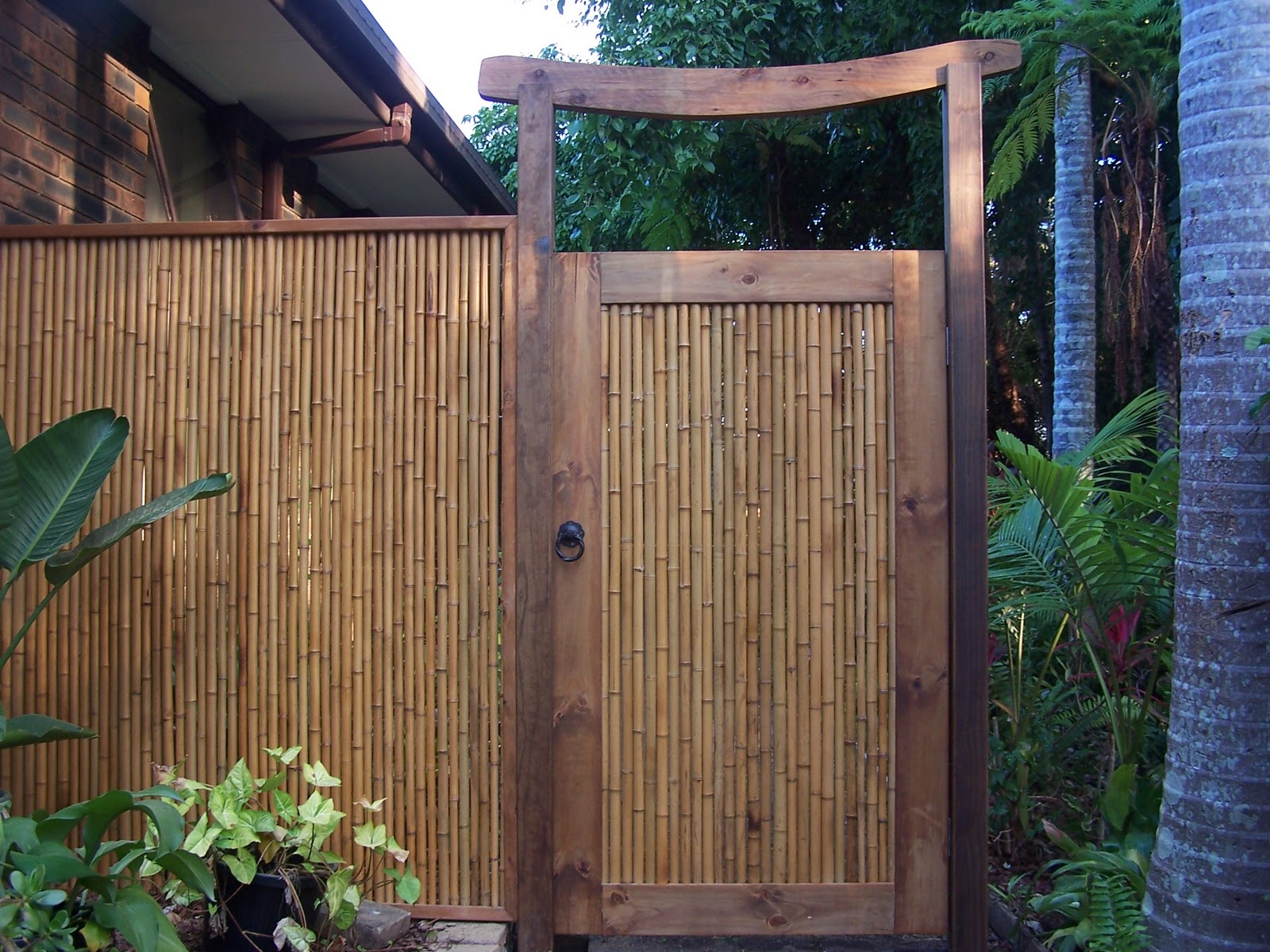 Fencing Tropical Landscape Tampa