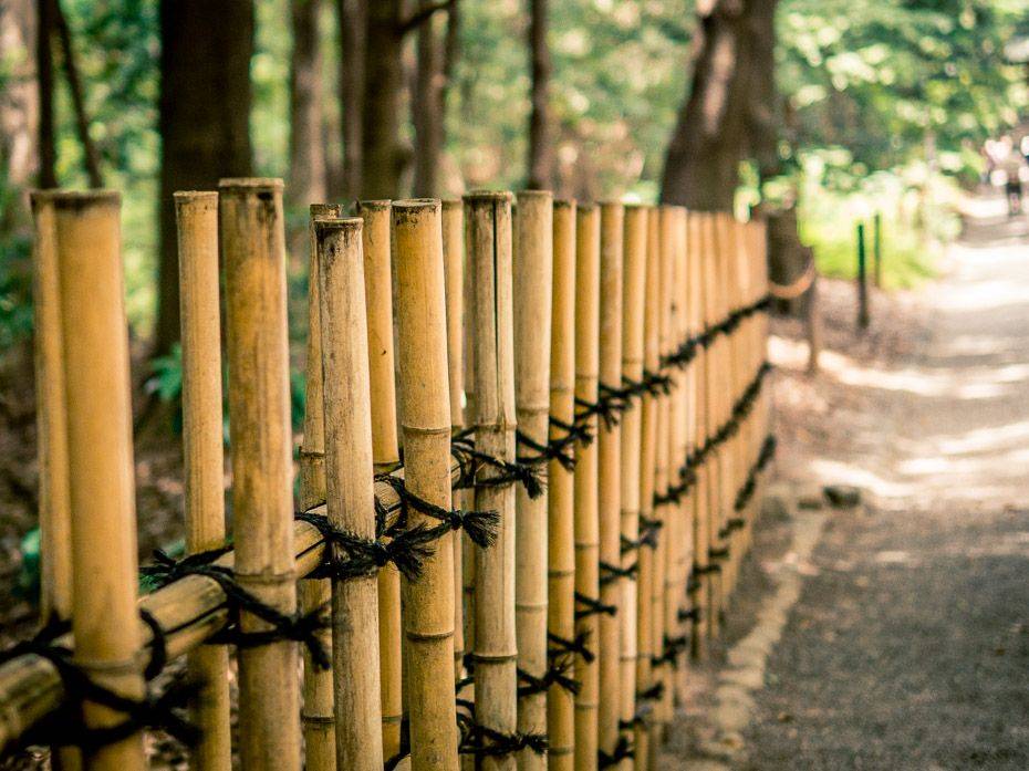 19 Bamboo Garden Gate Ideas For This Year SharonSable
