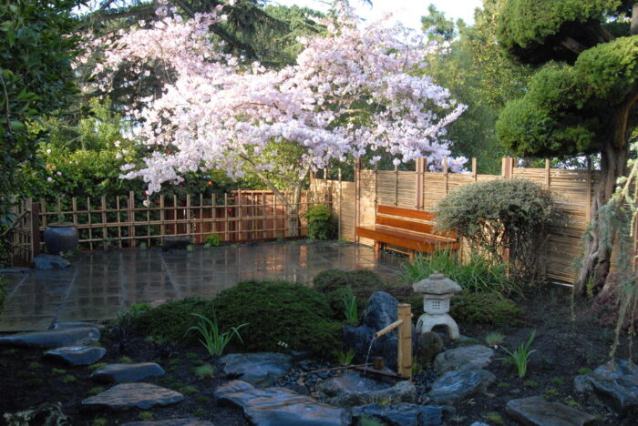 Zen Garden Wall Flowers And Gardens Pinterest