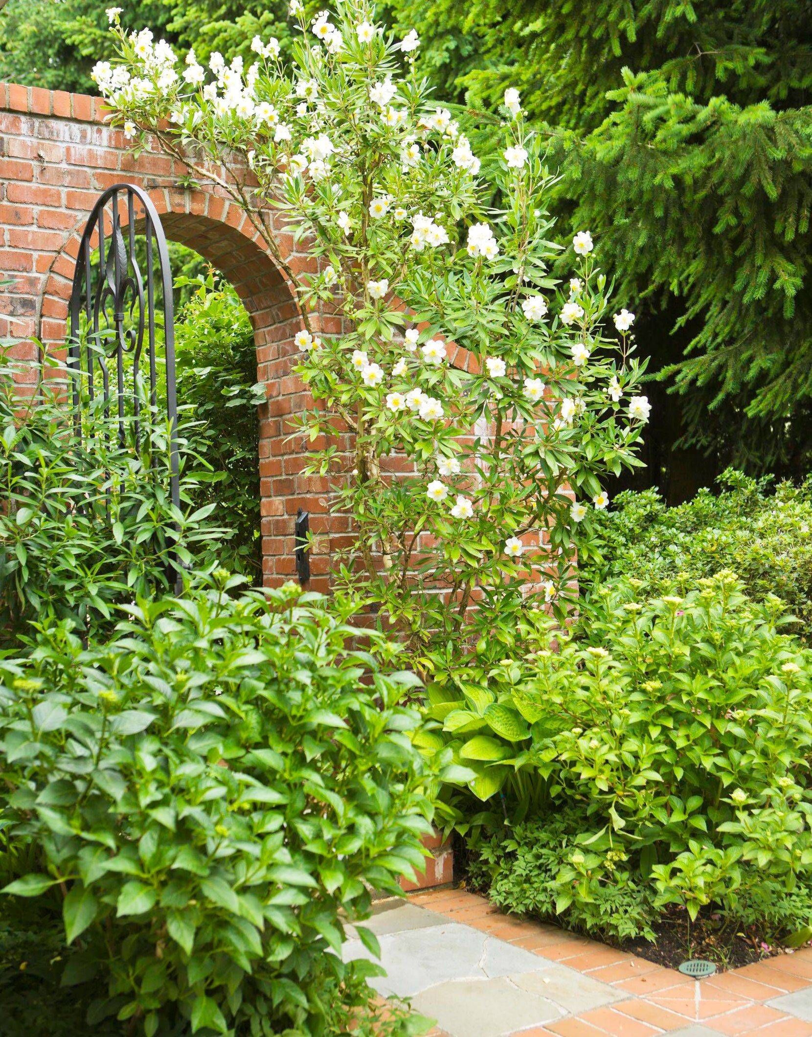 Great Garden Gate Ideas Garden Gates