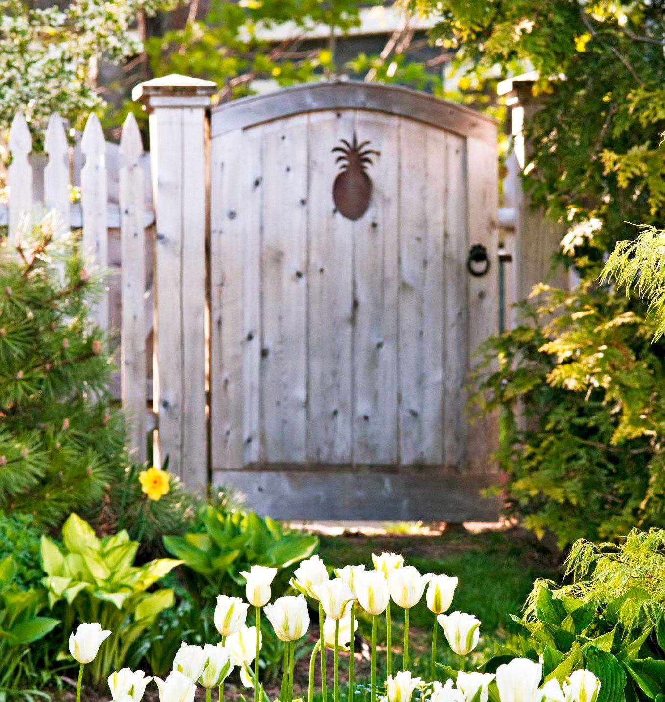Great Garden Gate Ideas