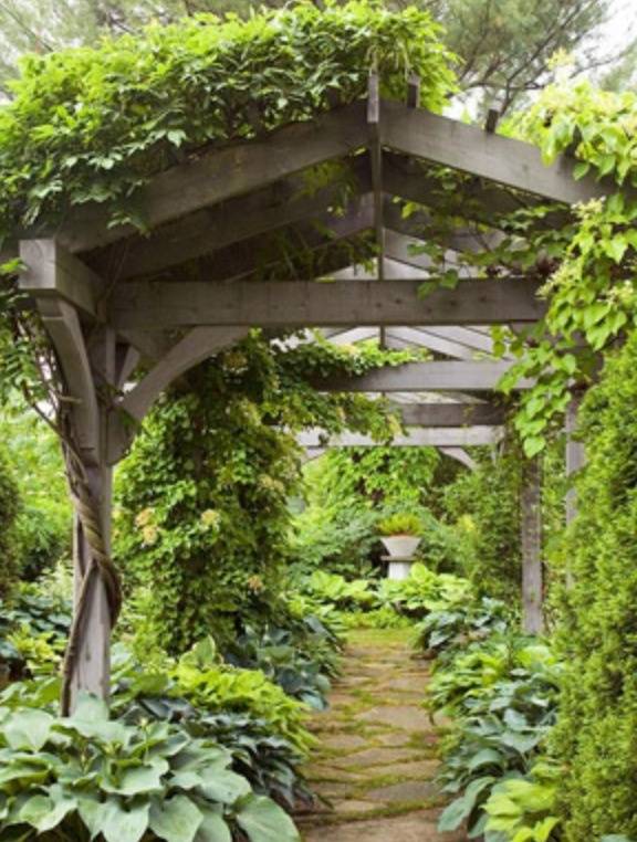 Beautiful Useful Side Yards