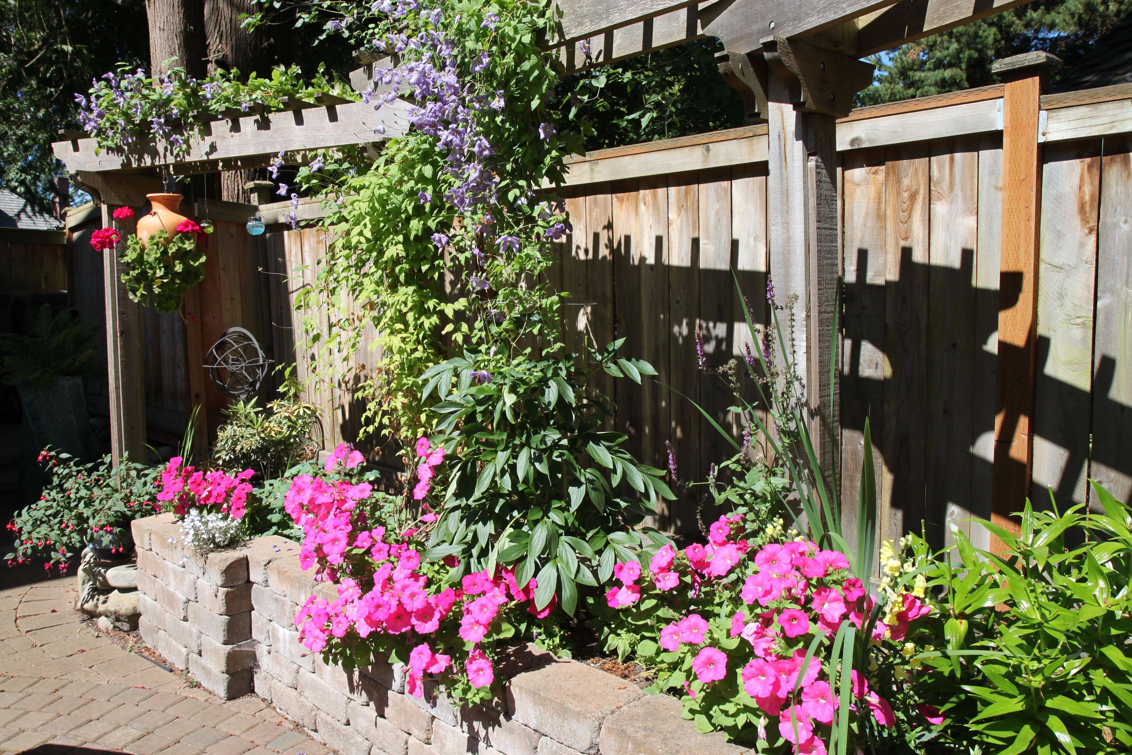 Garden Metal Arbor