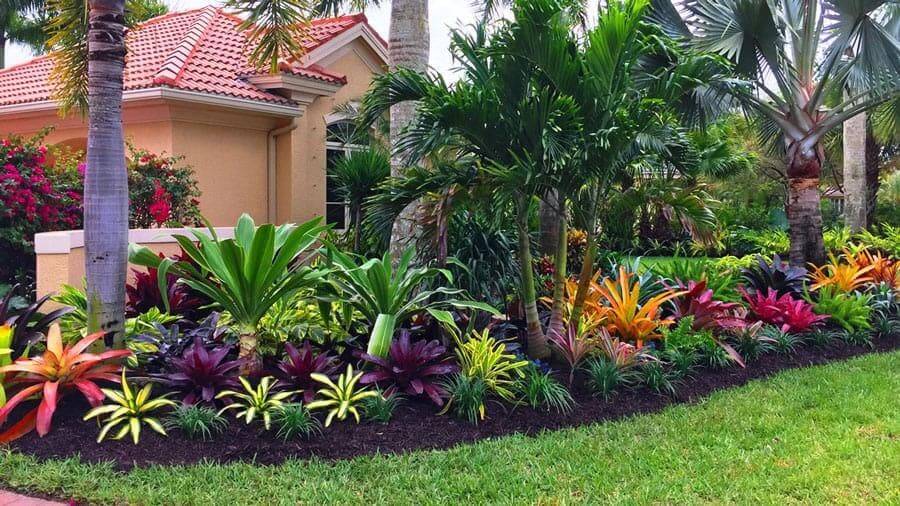 Wonderful Florida Landscaping Ideas Front Yards