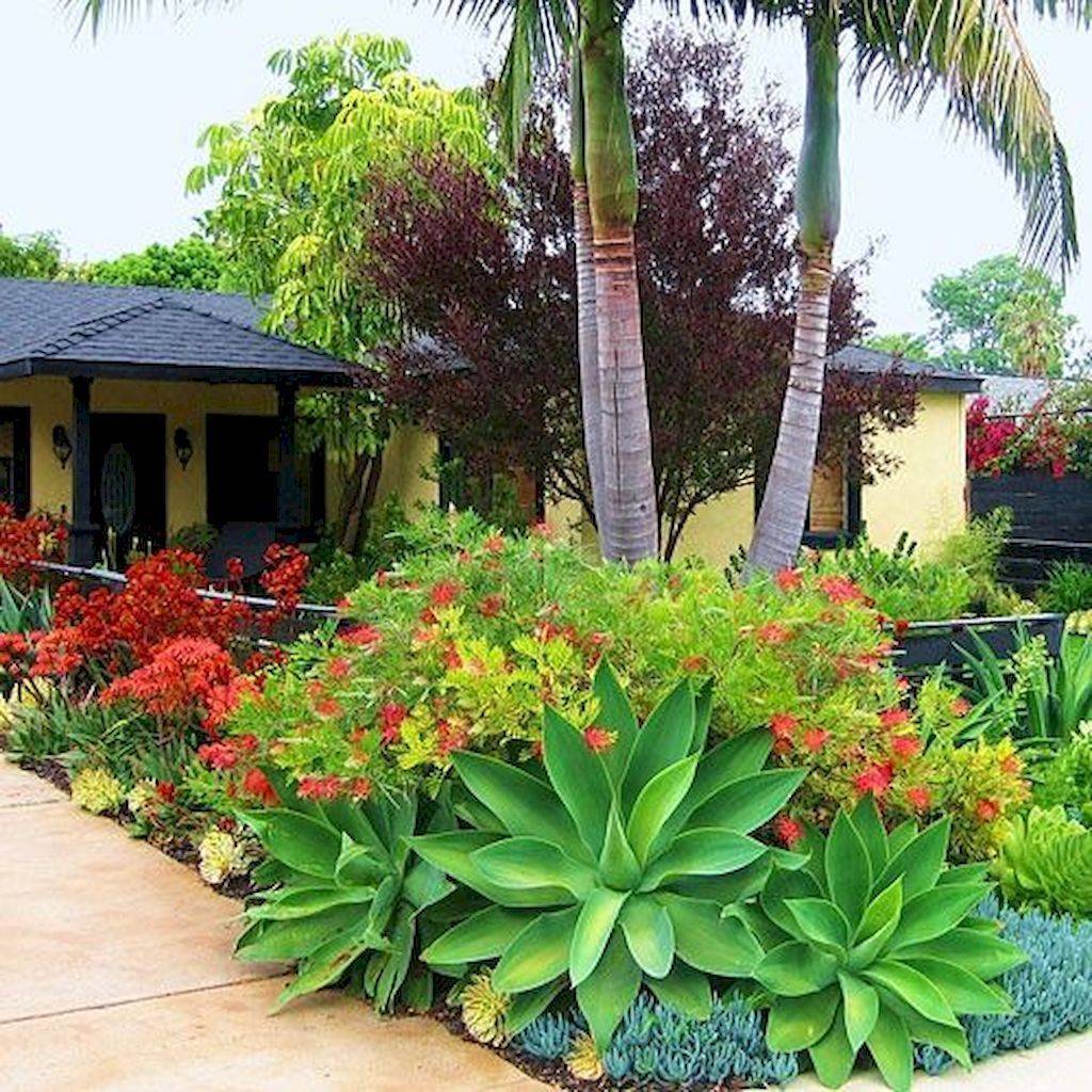 Tropical Landscaping