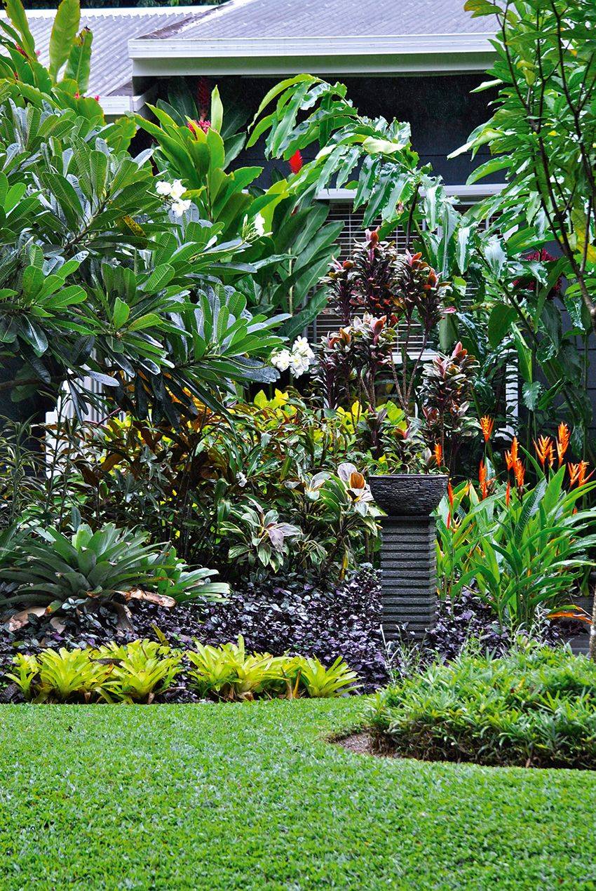 A Tropicalthemed Garden