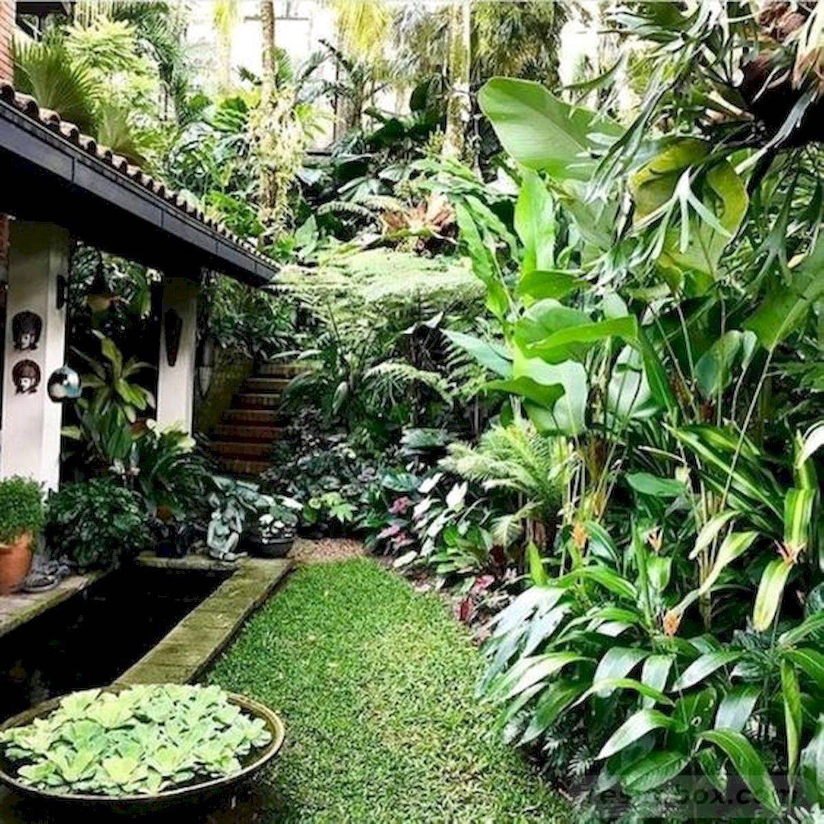 Beautiful Tropical Garden Design Ideas