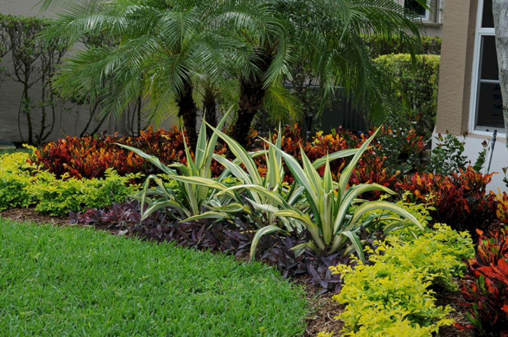 Tropical Flower Garden Design Ideas