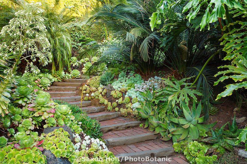 Ca Friendly Design Ideas Rogers Gardens Backyard Landscaping
