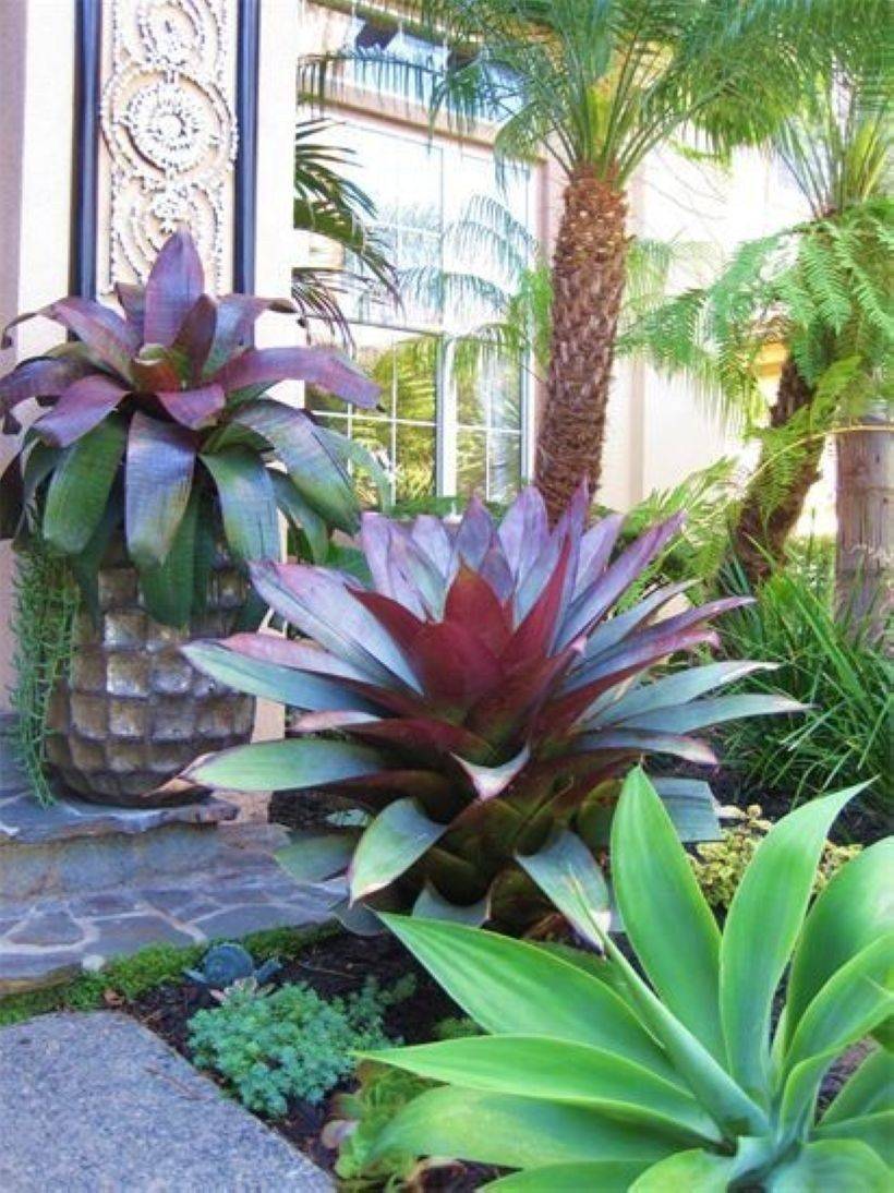 Landscape Rogers Gardens Drought Tolerant Garden