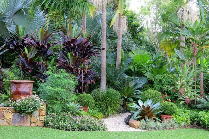 California Yards Tropical Backyard Landscaping