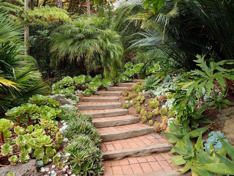 Tropical Plants Retreat Sunsetcom Sunset Magazine