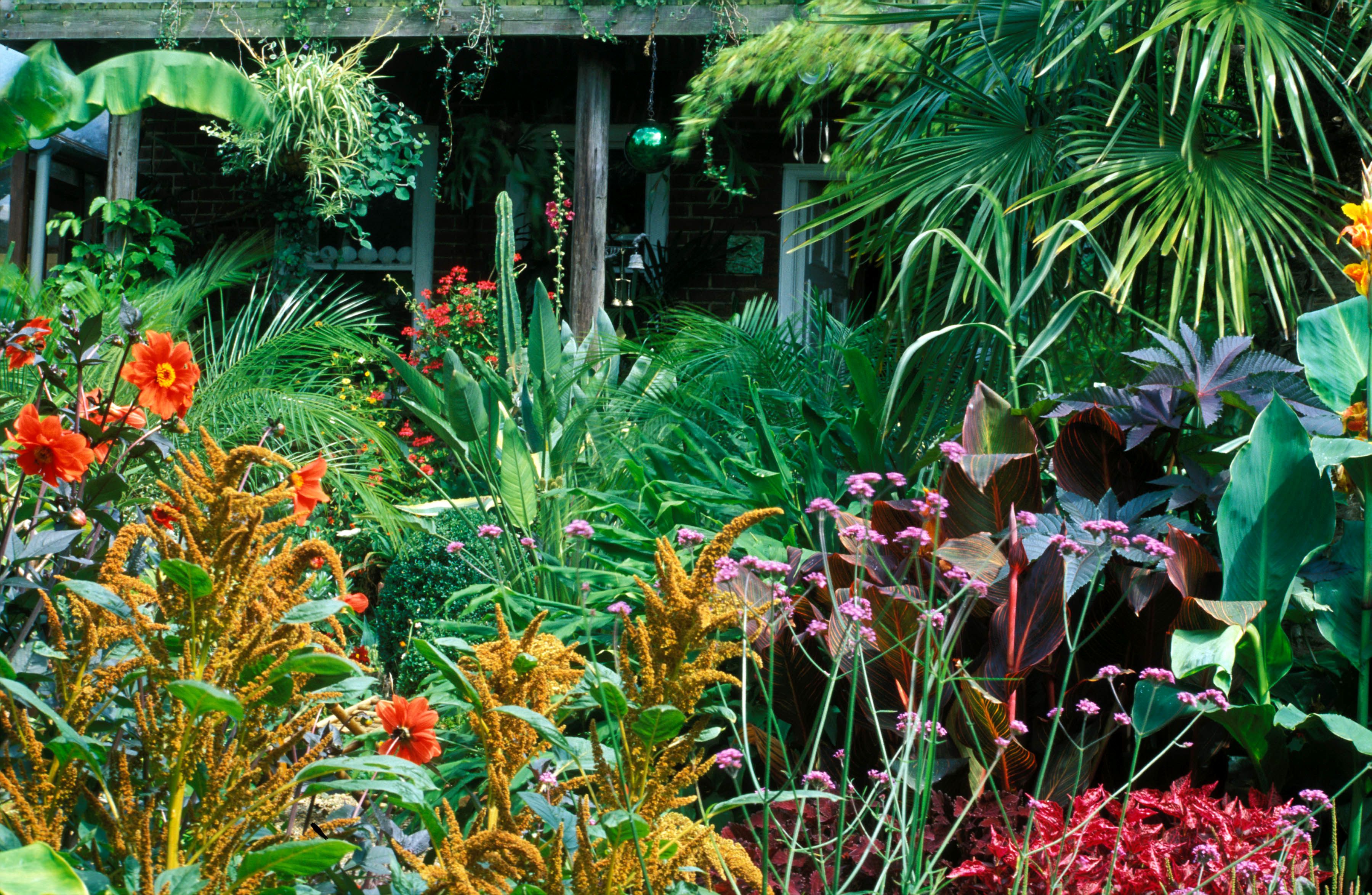 Amazing And Beautiful Tropical Garden Ideas